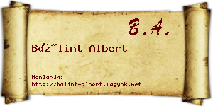 Bálint Albert névjegykártya